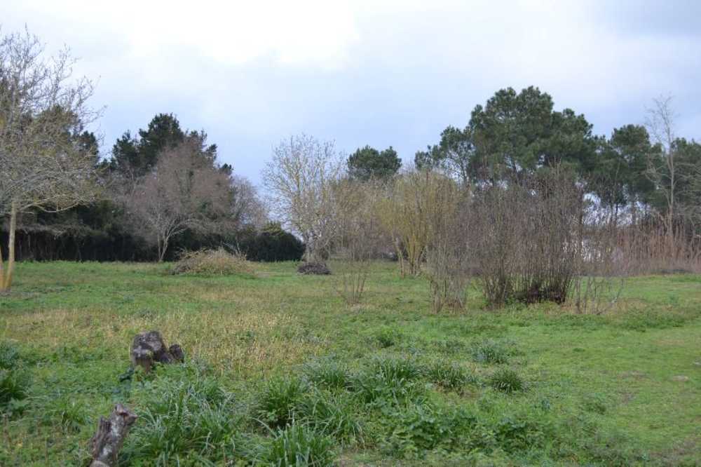 Queyrac Gironde terrein foto 3794017