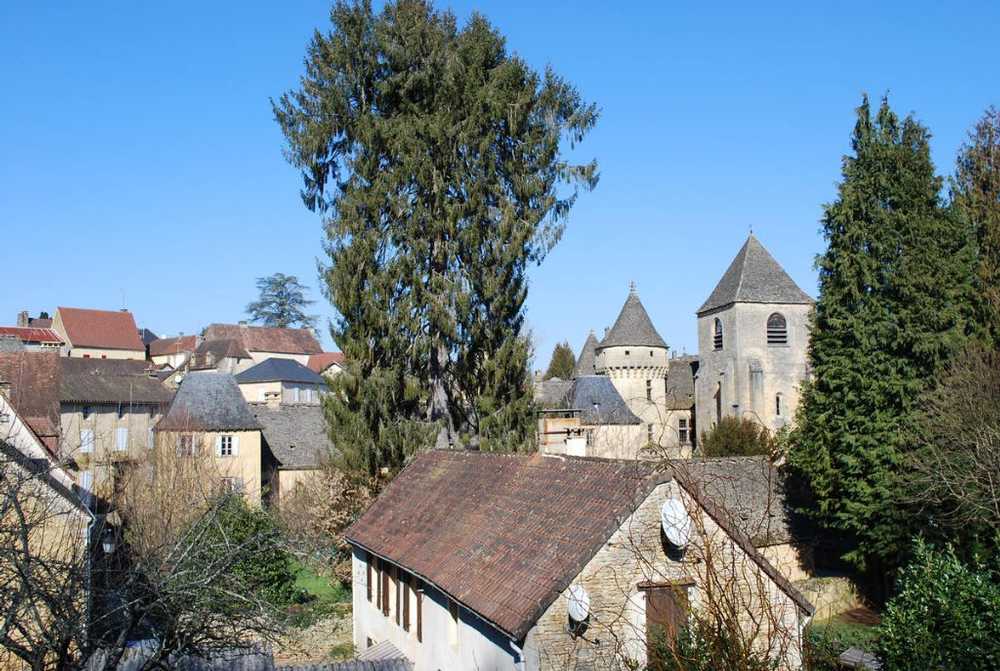 Saint-Geniès Dordogne Haus Bild 3761579