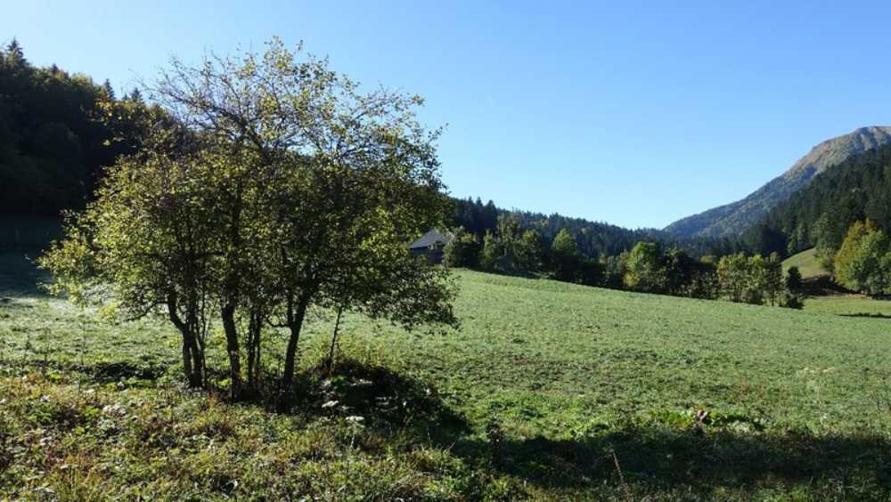 Aillon-le-Jeune Savoie Grundstück Bild 3837985