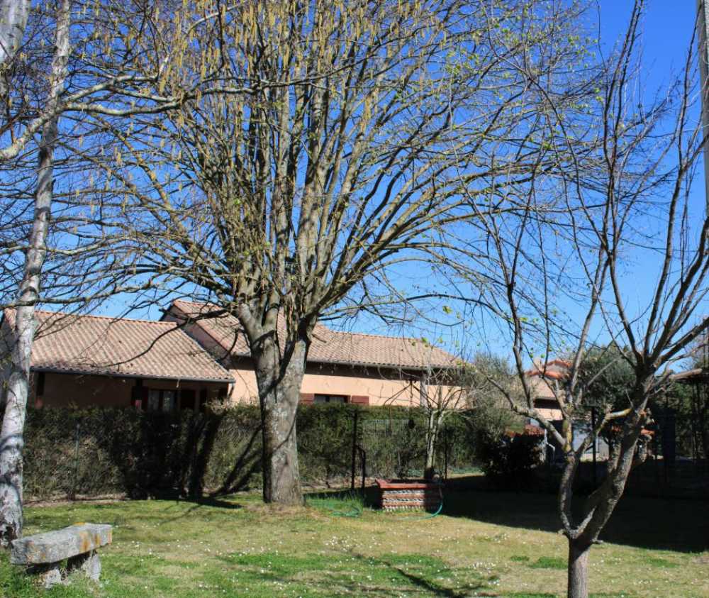 Villeneuve-Tolosane Haute-Garonne Haus Bild 3800475