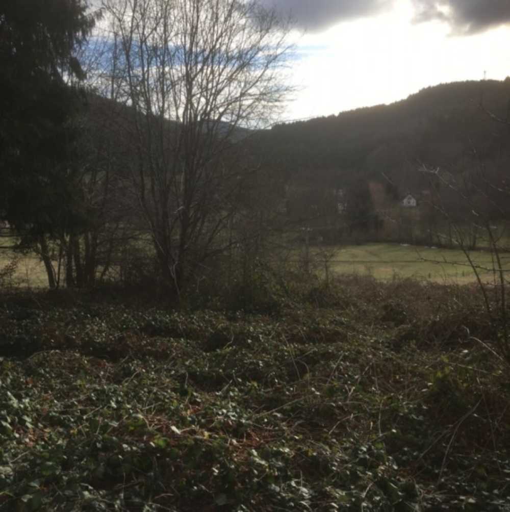 Colroy-la-Roche Bas-Rhin terrain photo 3807443