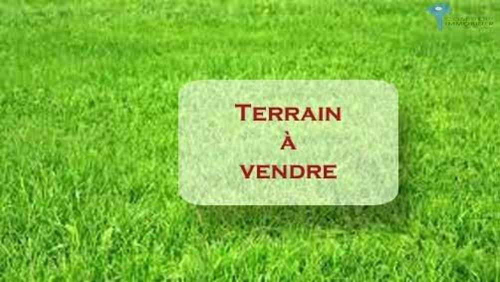 Courtenay Loiret terrain picture 3780276