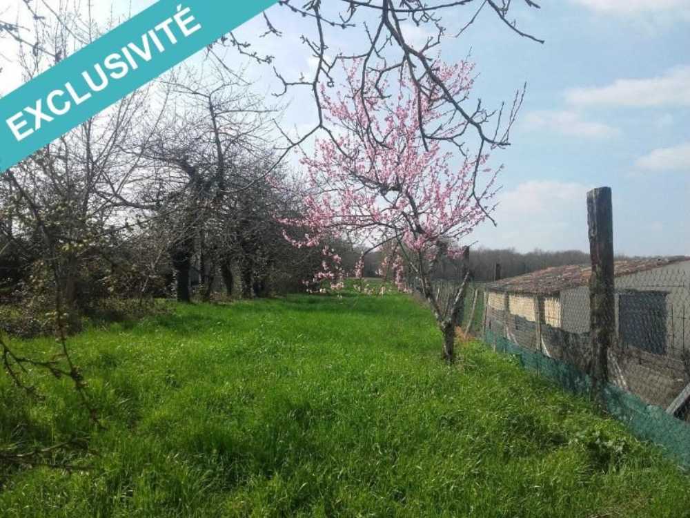 Saint-Georges-des-Côteaux Charente-Maritime terrain picture 3796219
