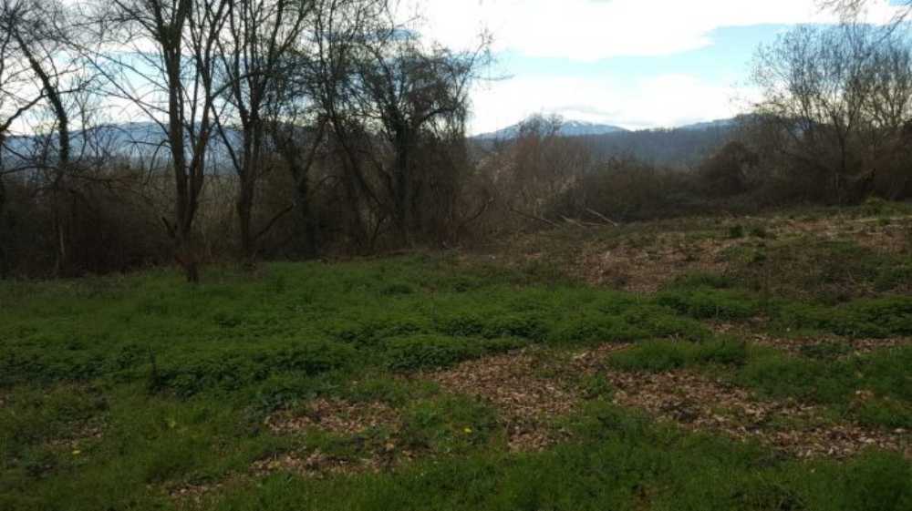 Saint-Gaudens Haute-Garonne terrain photo 3819910