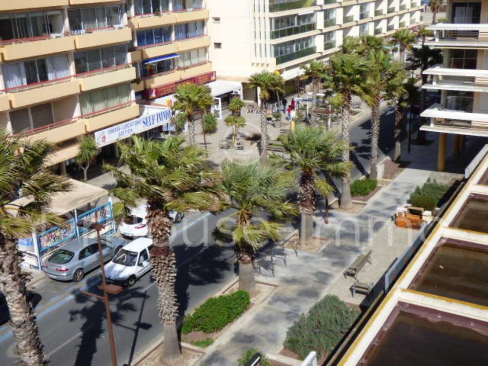 Canet-En-Roussillon Pyrénées-Orientales Haus Bild 4008532