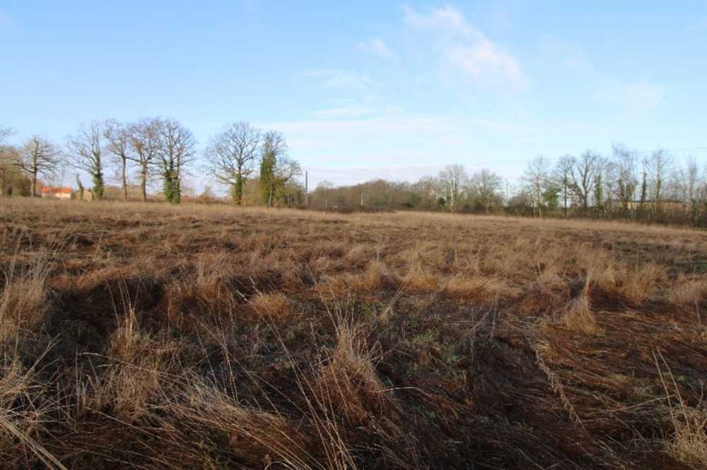 Culan Cher terrain photo 3936095
