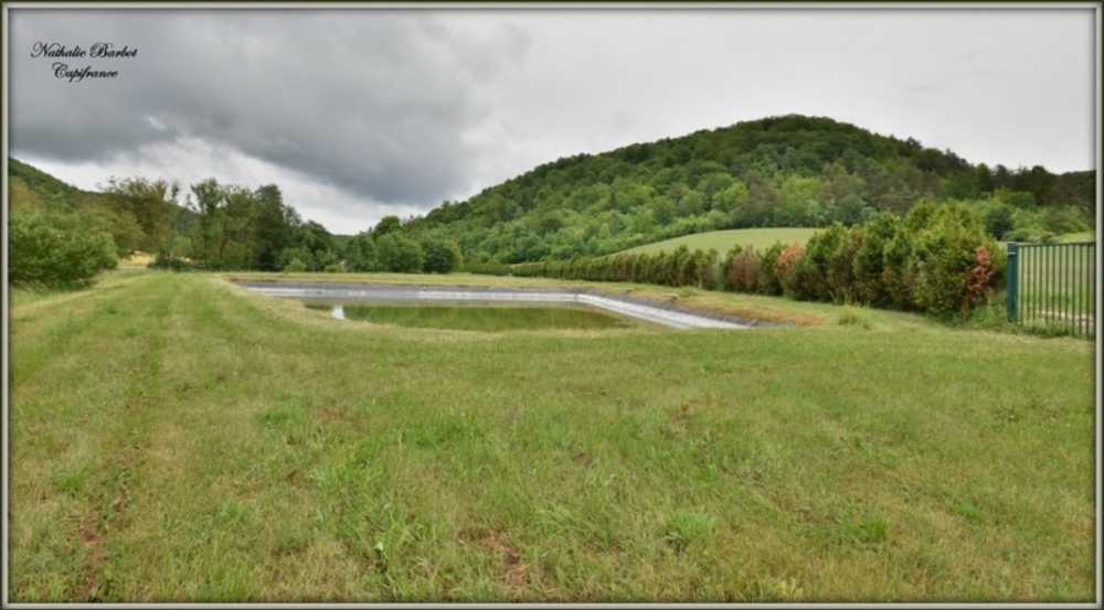 Thonnance-lès-Joinville Haute-Marne terrain picture 4045061