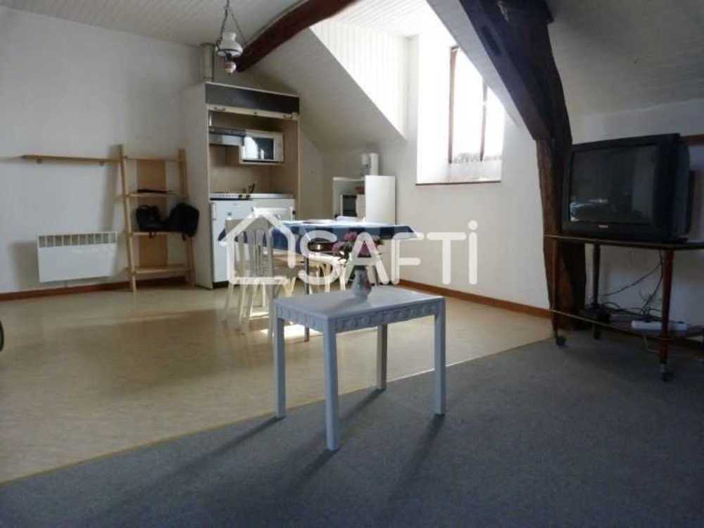 Beaugency Loiret appartement foto 4075459