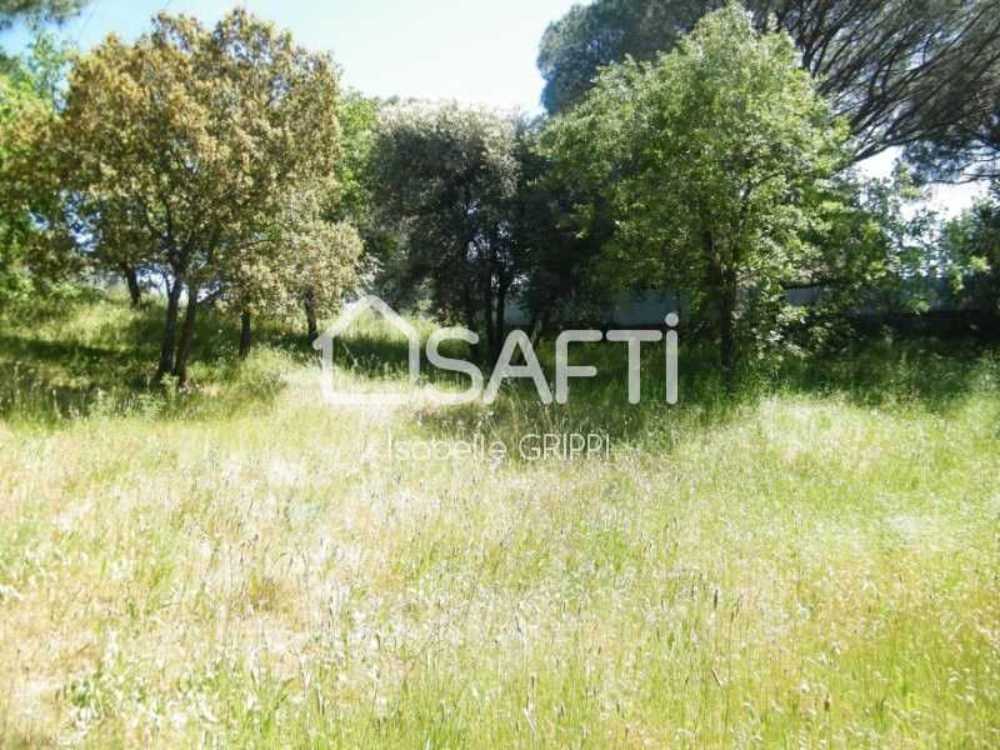 Puget-sur Argens Var terrain photo 4082359