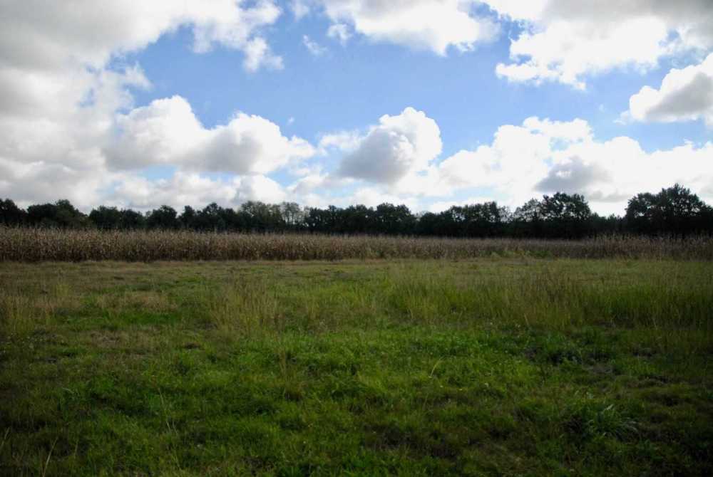 Campagne Landes Haus Bild 4059868