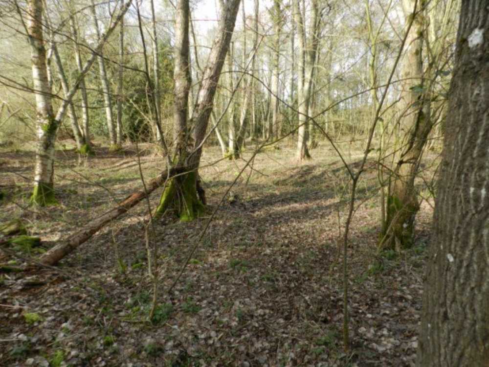Cormeilles Eure terrein foto 4088762