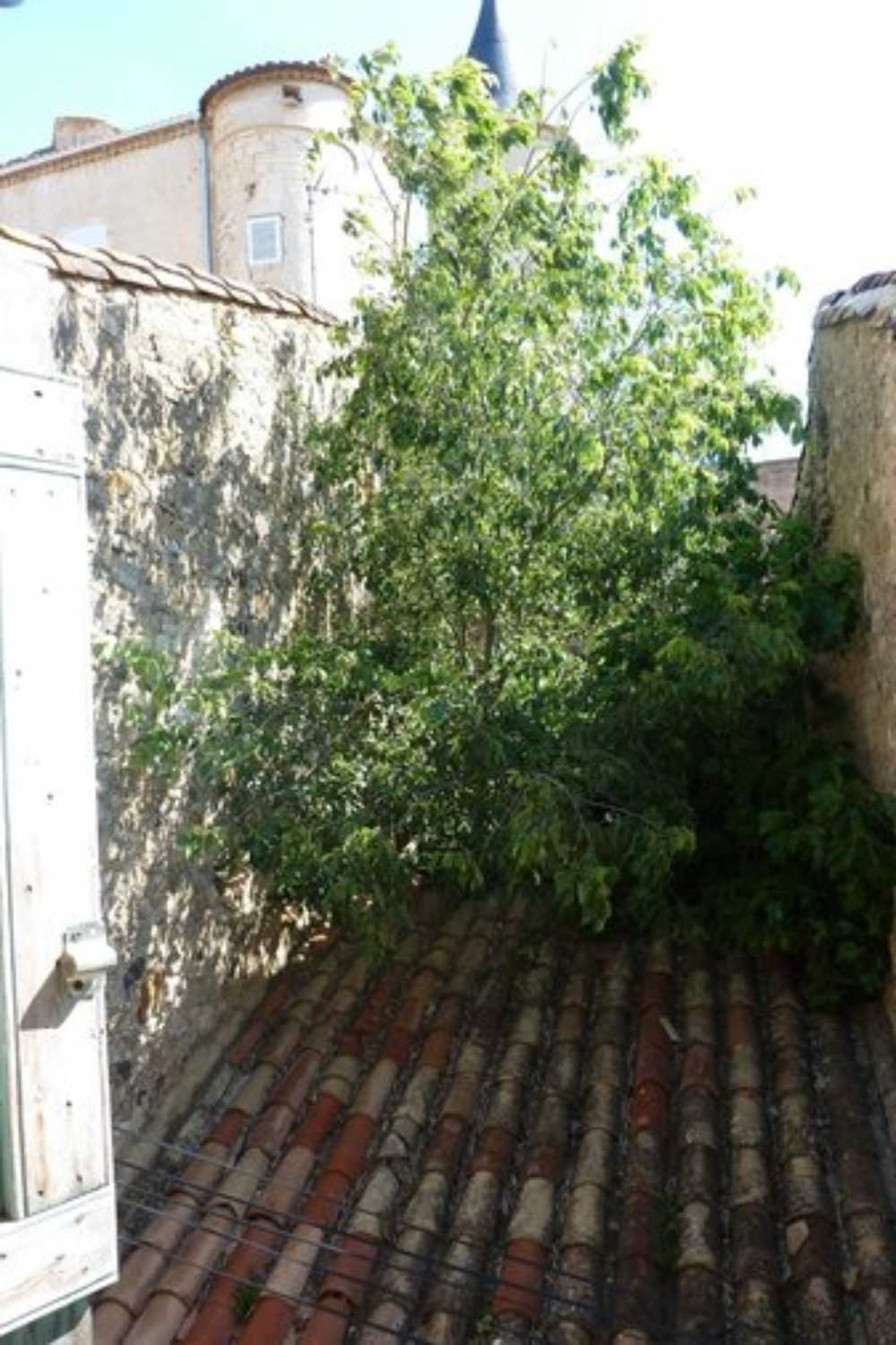 Pouzolles Hérault Haus Bild 4089381