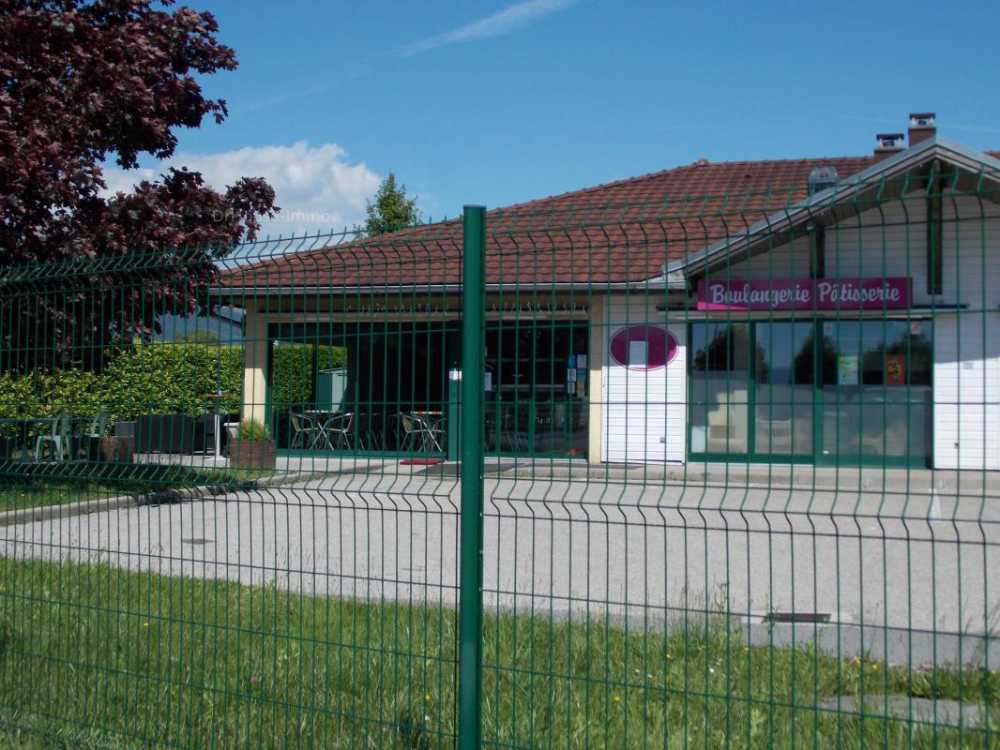 Vougy Haute-Savoie Gewerbeimmobilie Bild 4020742