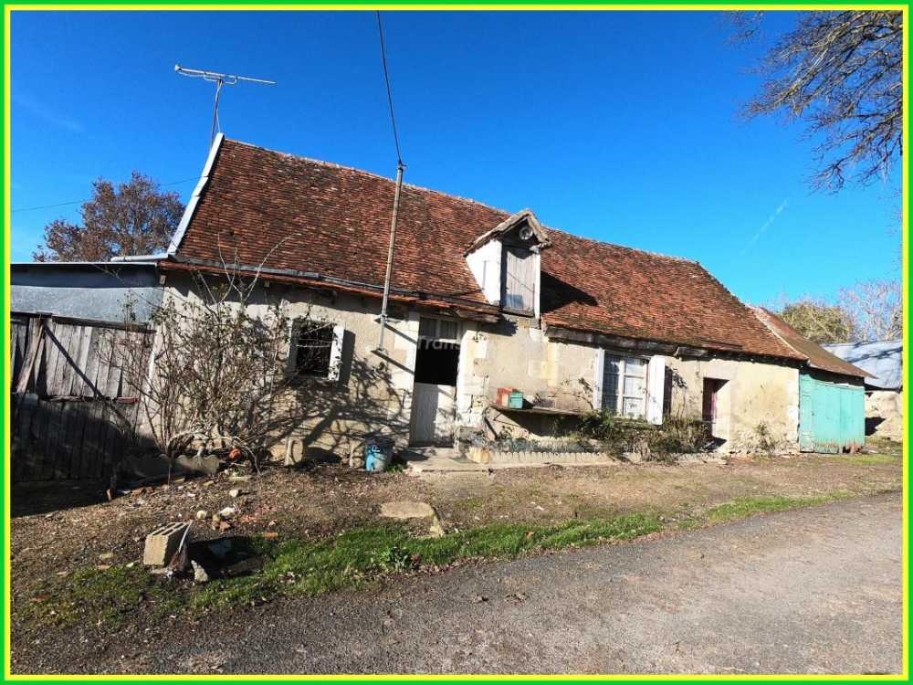 Vicq-sur-Nahon Indre house picture 4021631