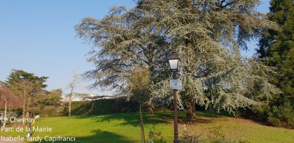 Le Chesnay Yvelines Haus Bild 4044875