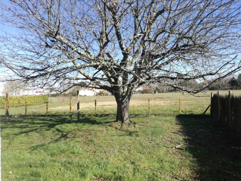 Saint-Seurin-sur-l'Isle Gironde huis foto 4089029