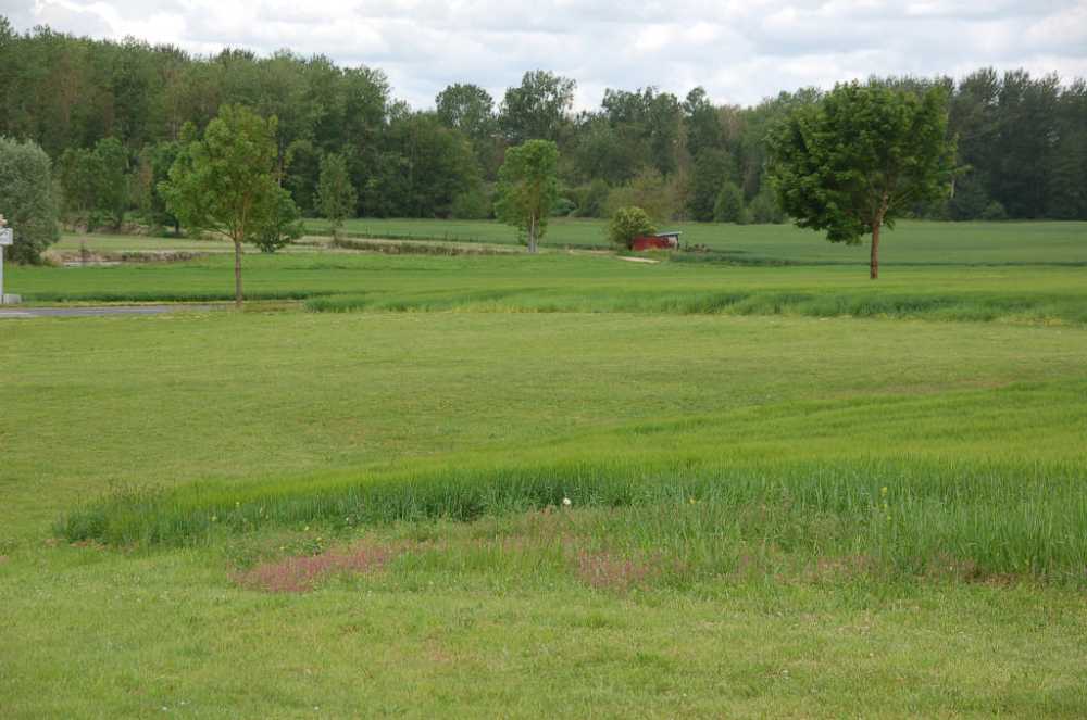 Saint-Martin-l'Heureux Marne terrain picture 4030900