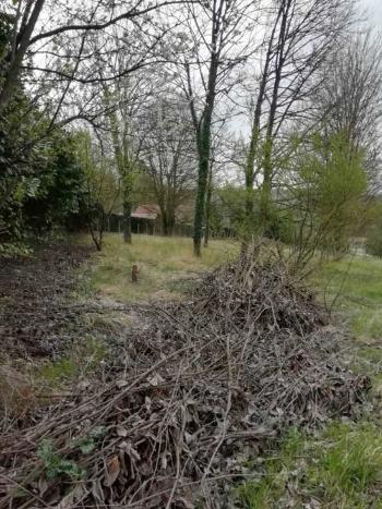 Villeneuve-sur-Bellot Seine-et-Marne terrain photo 4083298
