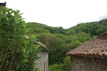 Brusque Aveyron maison photo 4085308