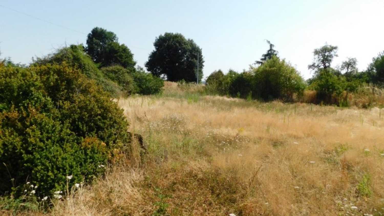 Sandarville Eure-et-Loir terrain picture 4183558