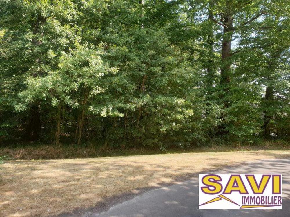 La Selle-sur-le-Bied Loiret terrein foto 4203777