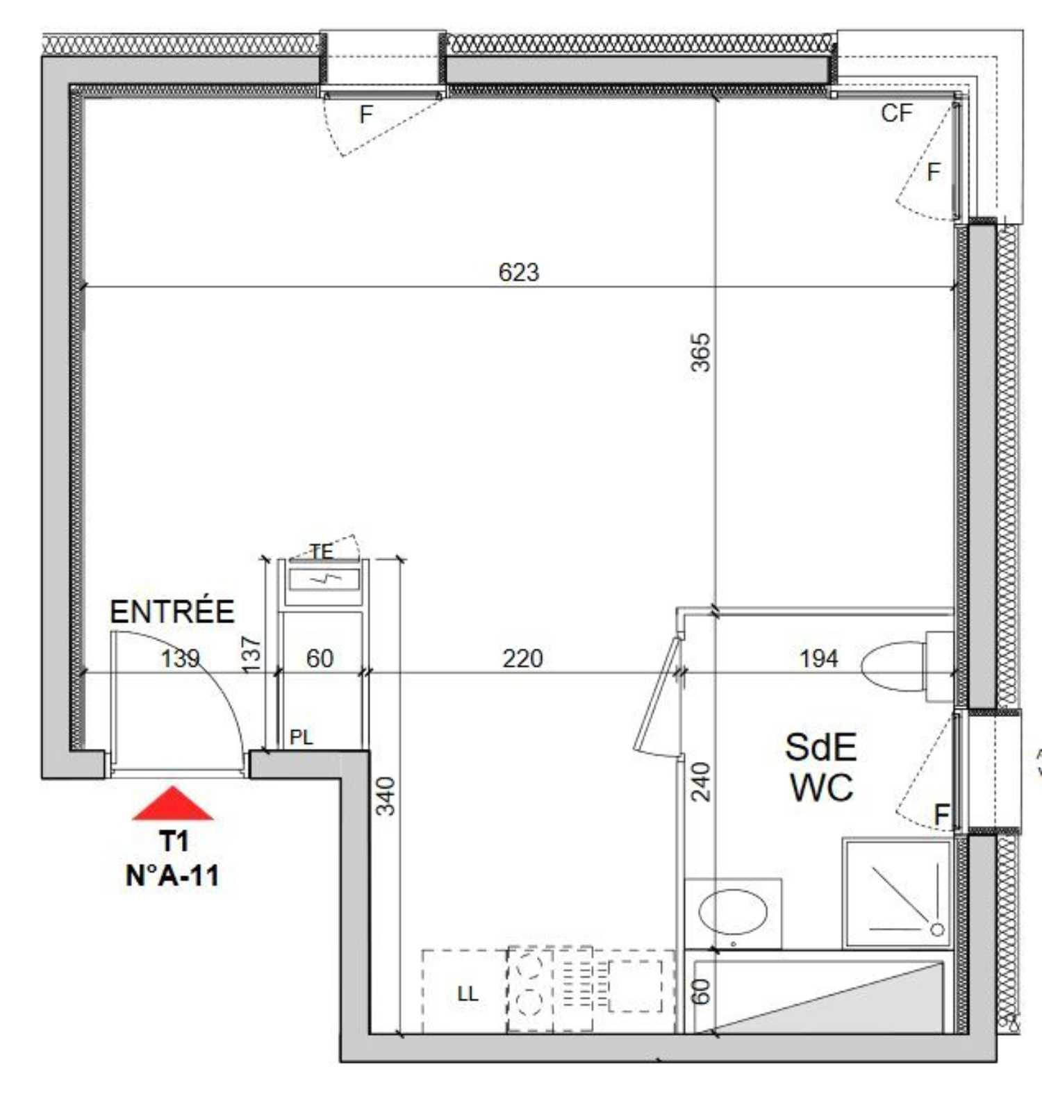 Grenoble Isère appartement foto 4166927