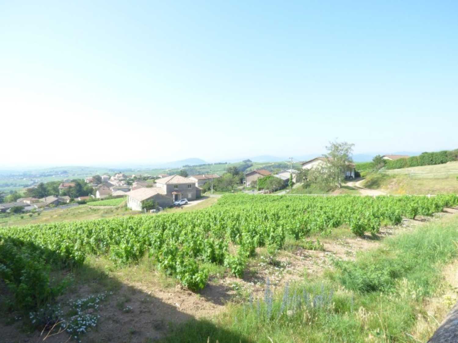 Belleville Rhône terrain photo 4152697