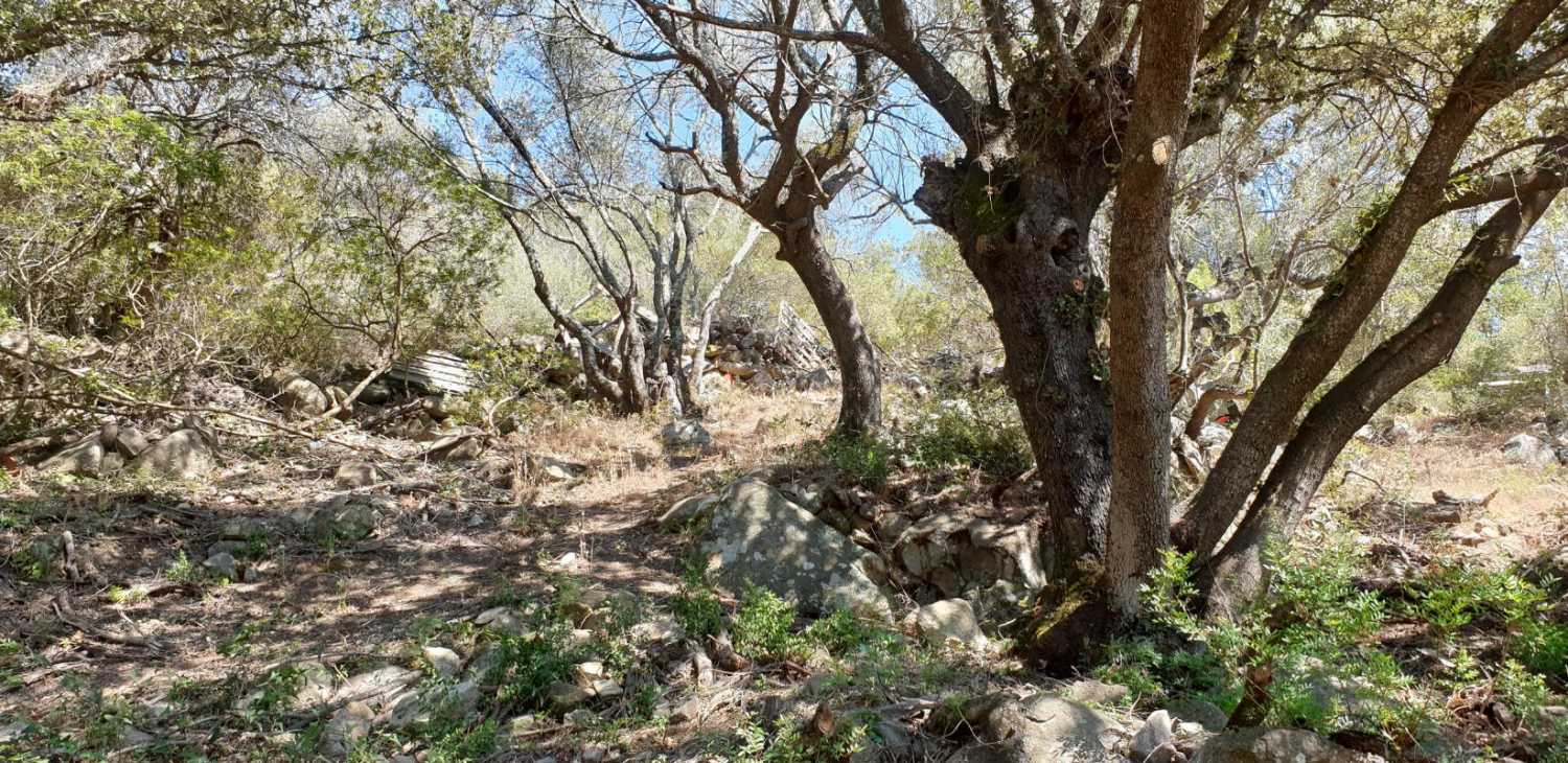 Figari Corse-du-Sud terrein foto 4171056