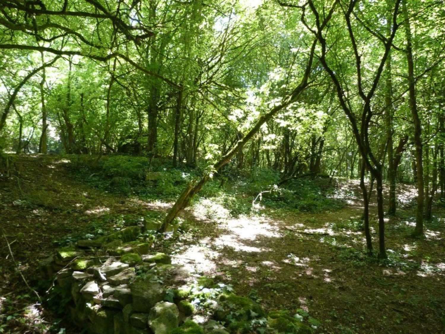 Macey Aube terrain photo 4173025