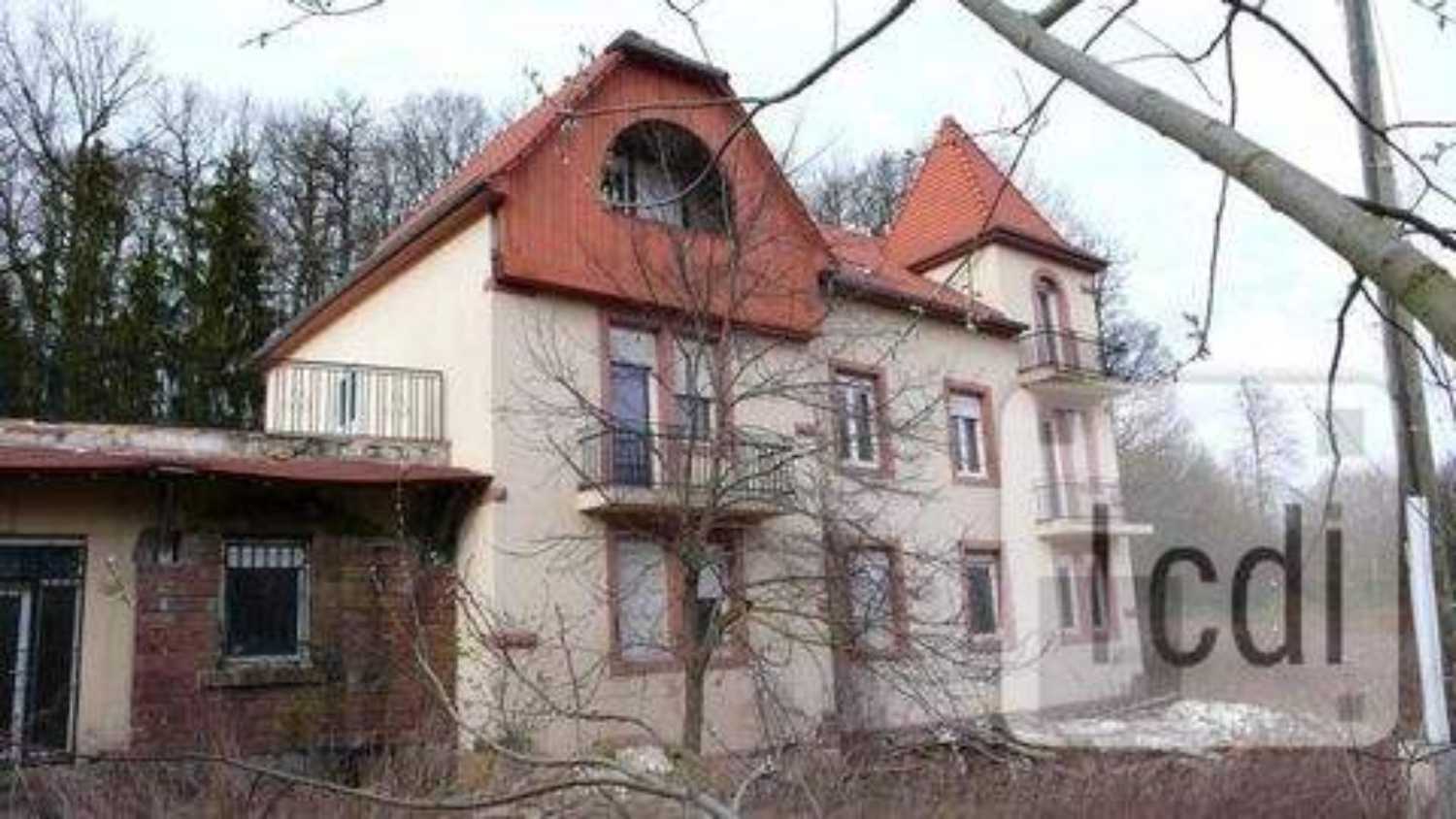 Saverne Bas-Rhin huis foto 4141720