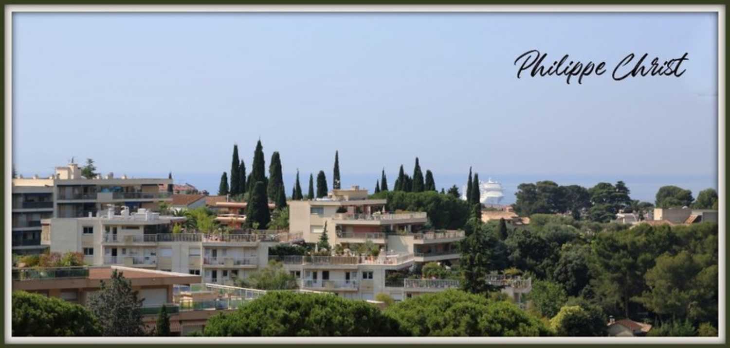 Le Cannet Alpes-Maritimes maison photo 4172779
