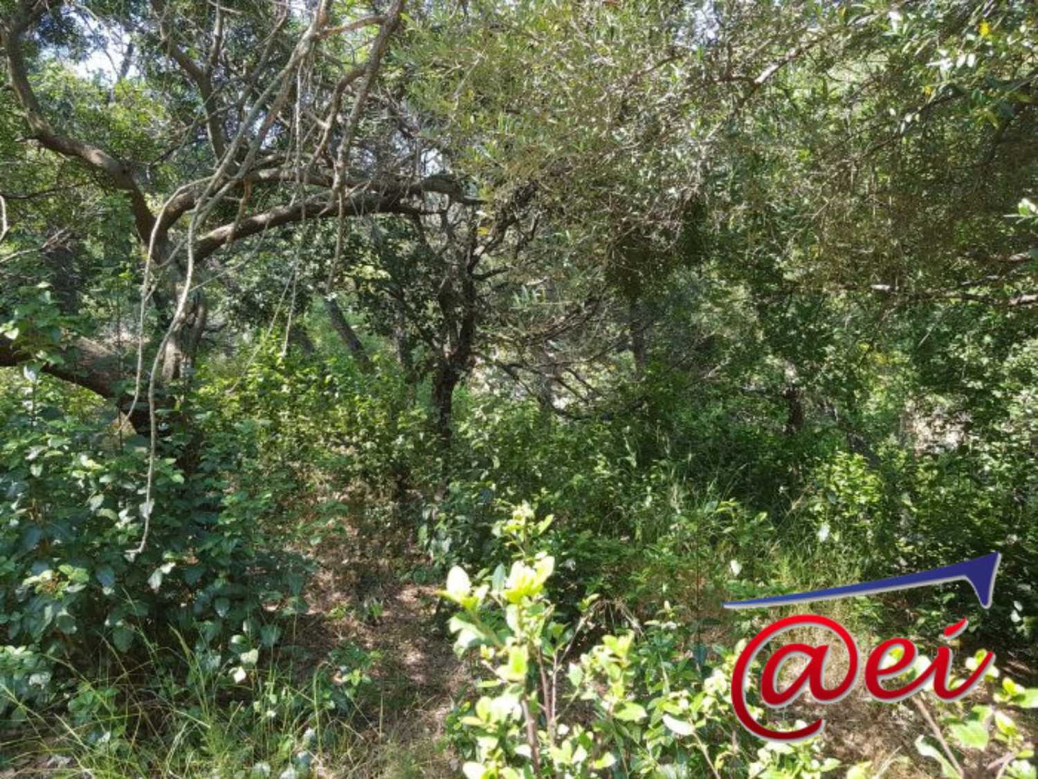 La Seyne-sur-Mer Var terrein foto 4250674