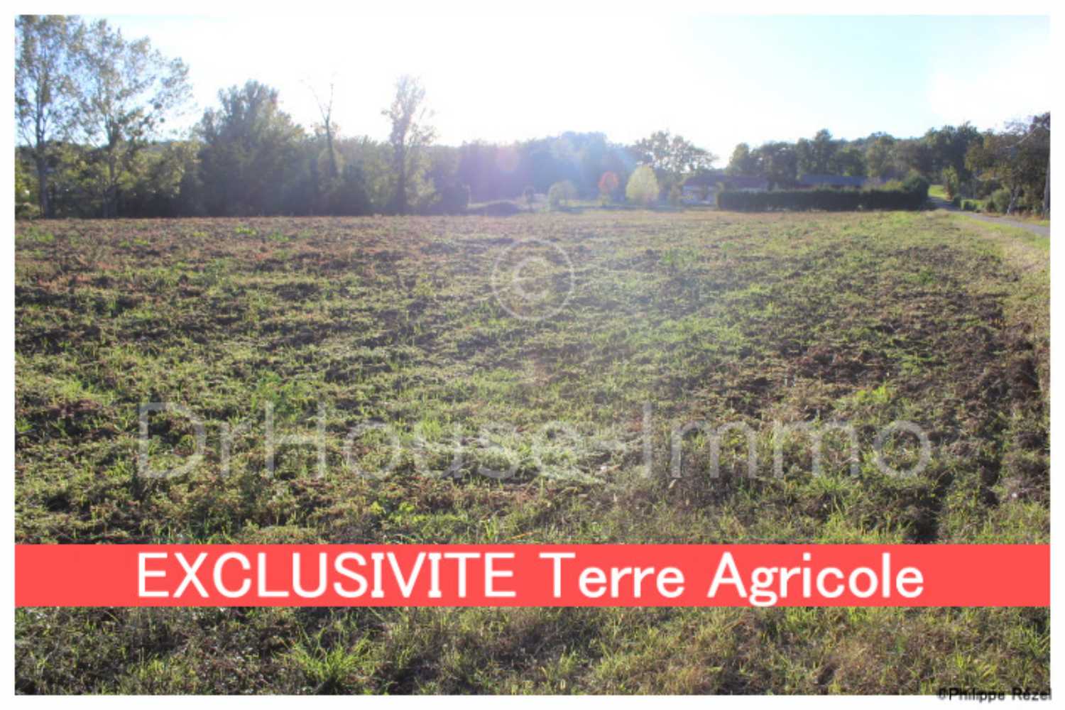 Thouars-sur-Garonne Lot-et-Garonne terrain picture 4248398