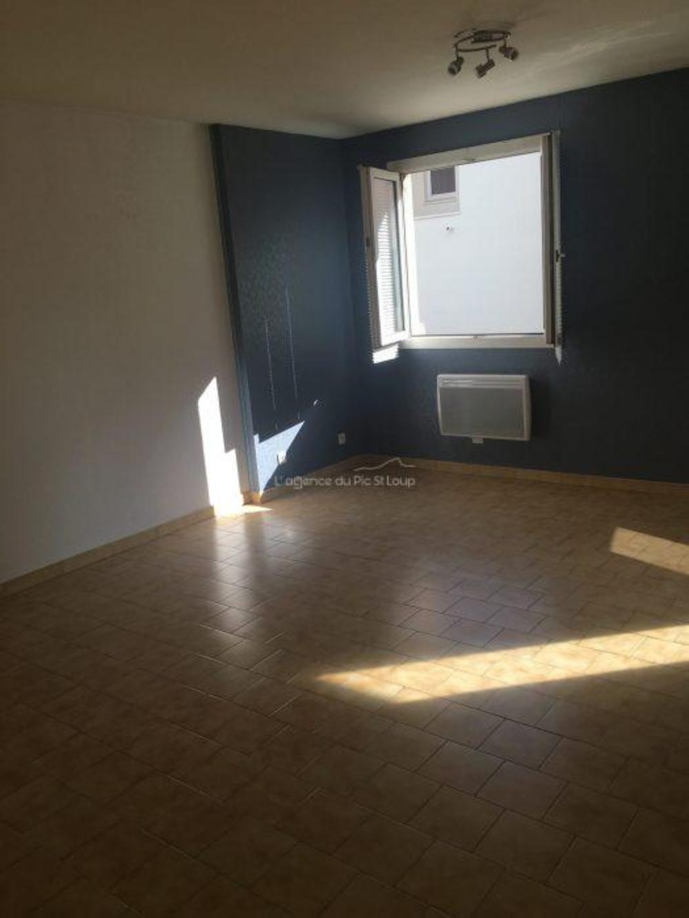 Montpellier Hérault appartement foto 4256698