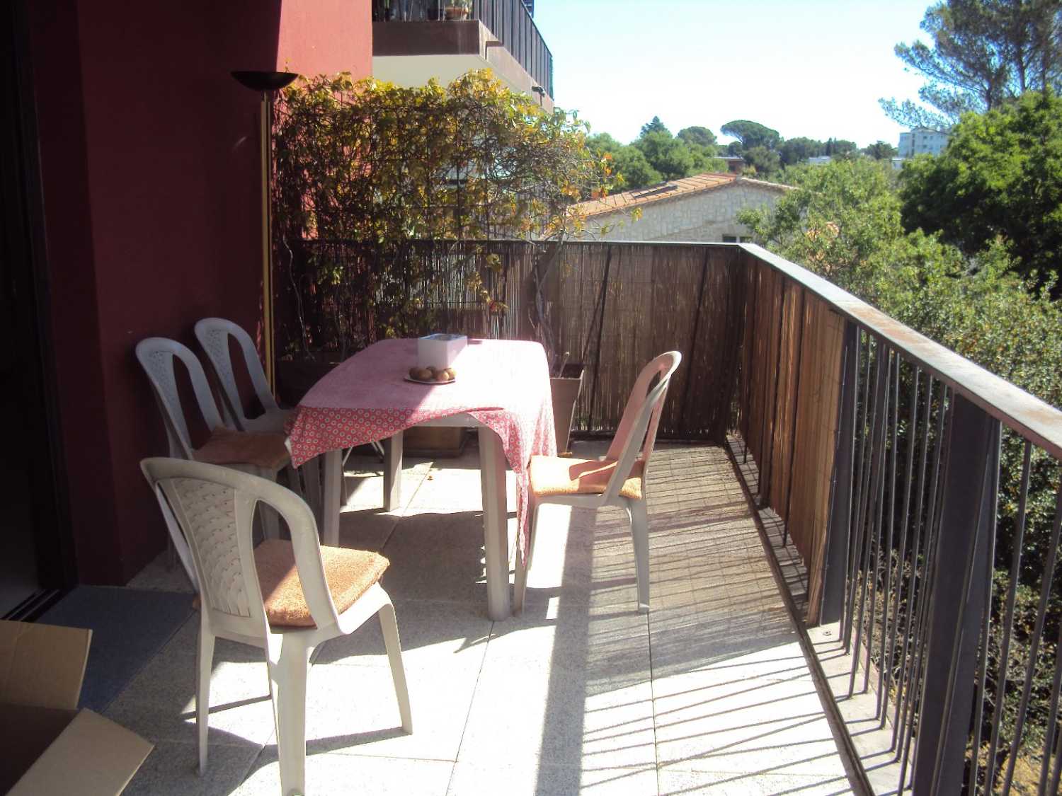 Montpellier Hérault appartement photo 4258246