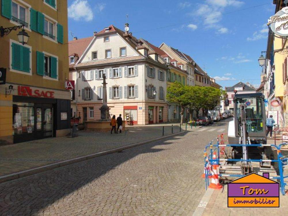 Altkirch Haut-Rhin Apartment Bild 4249503