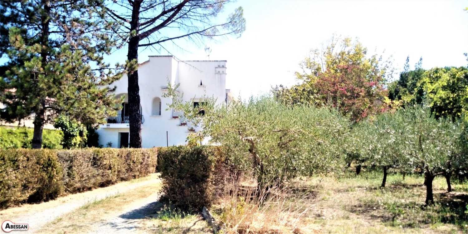 kaufen Haus Ribaute-les-Tavernes Languedoc-Roussillon 1
