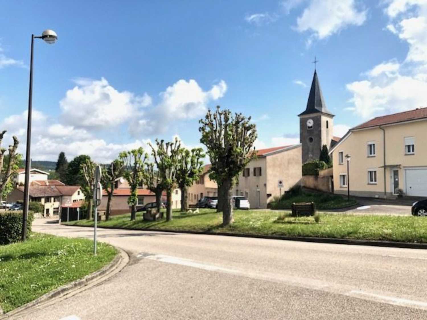 Méréville Meurthe-et-Moselle terrain picture 4255014
