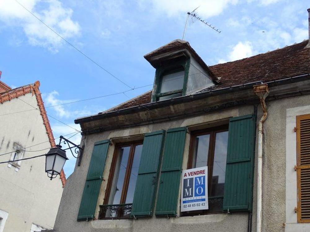 Châteauneuf-sur-Cher Cher maison photo 4256565