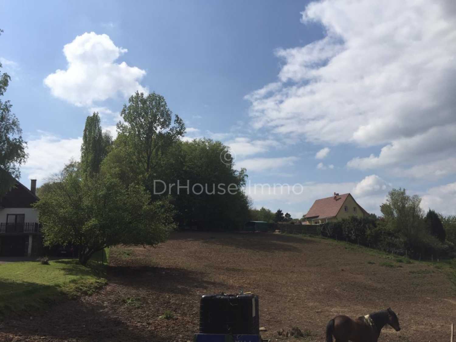 Phalsbourg Moselle terrein foto 4256972