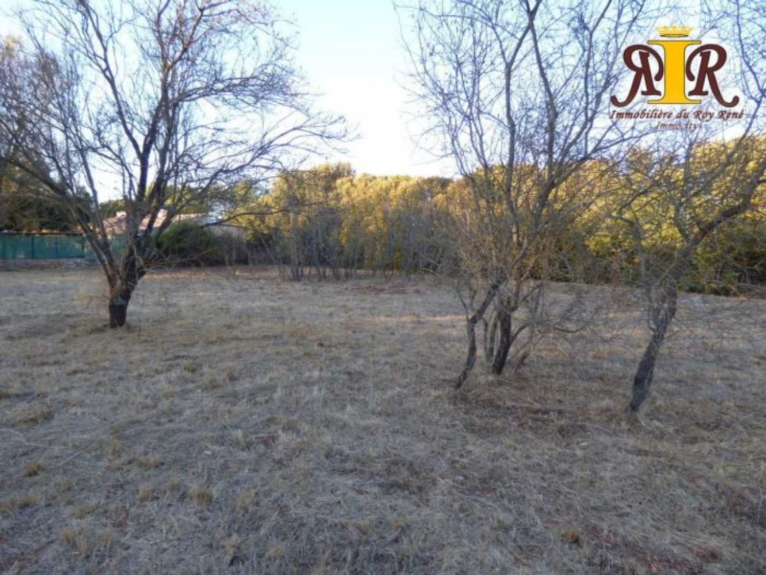 Saint-Maximin-la-Sainte-Baume Var terrain picture 4255454