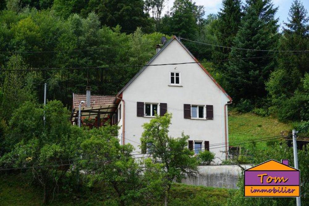 Le Bonhomme Haut-Rhin house picture 4249585