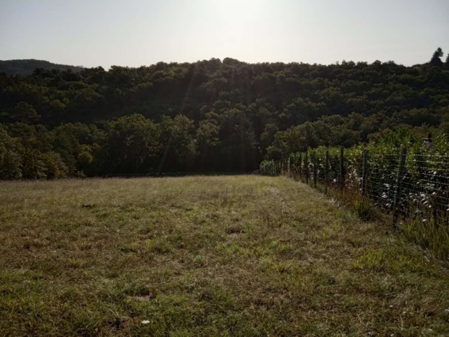 Marsaneix Dordogne terrain picture 4327523