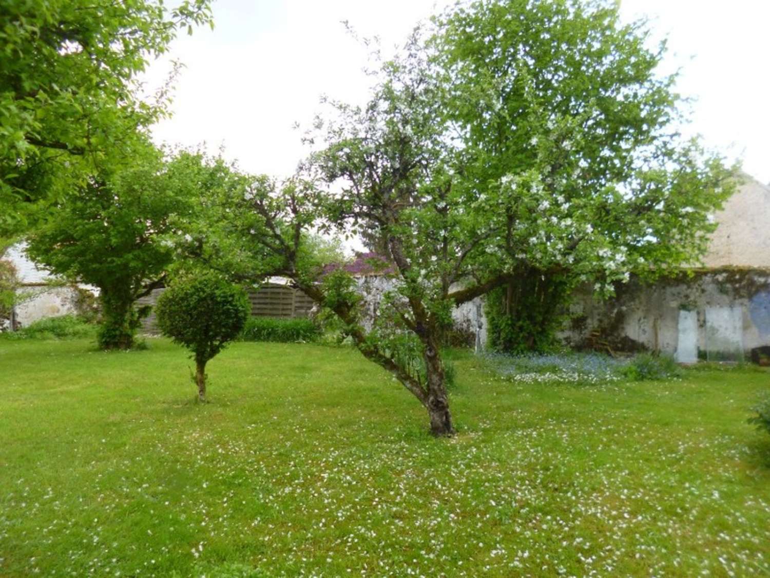 La Ferté-sous-Jouarre Seine-et-Marne terrein foto 4325589