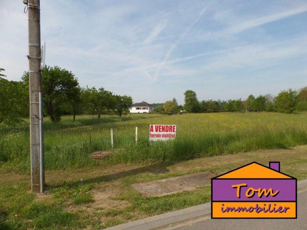 Loudrefing Moselle terrain photo 4638051