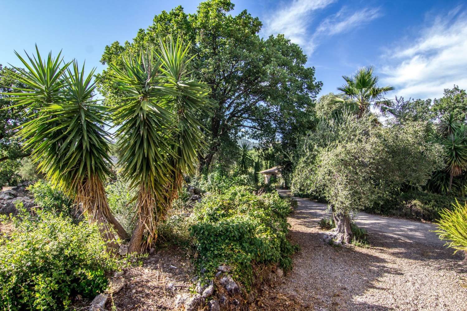 Vence Alpes-Maritimes maison photo 4673563