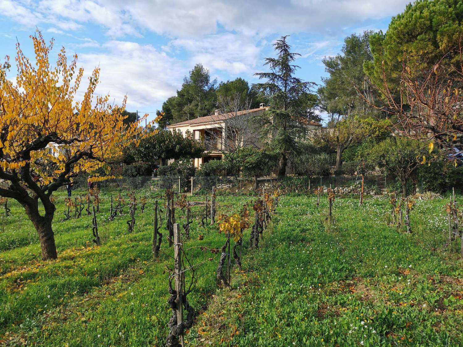 Cordey Calvados villa photo 4633175