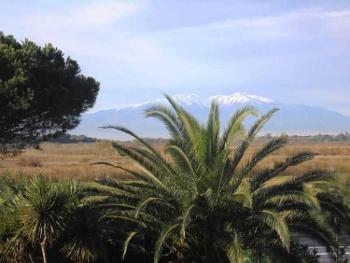 Canet-En-Roussillon Pyrénées-Orientales appartement photo 4663553
