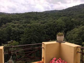 Lucciana Haute-Corse house picture 4652777
