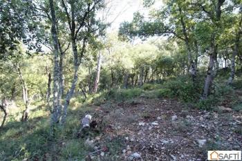 Vidauban Var terrain photo 4657073
